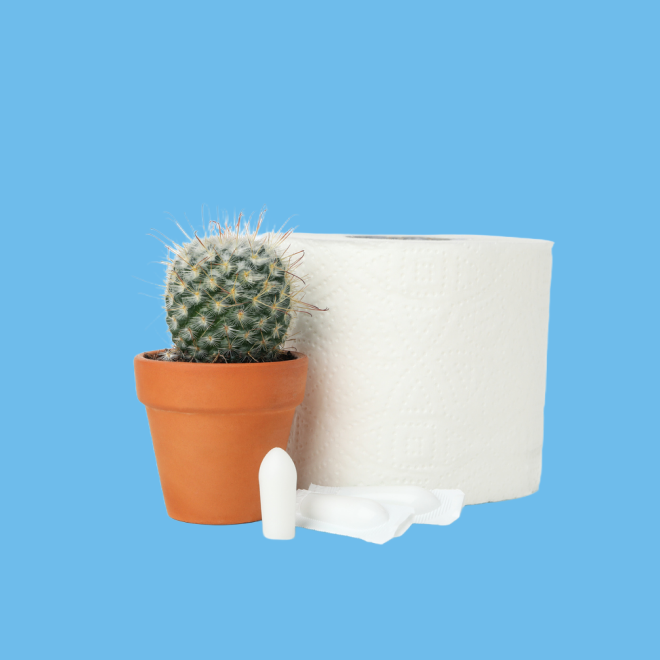 cactus pictured beside toilet paper